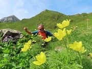 25 Saliamo alla Forcella Rossa  tra Pulsatilla alpina sulphurea
